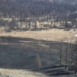 Он гарсаар 87 удаагийн ой, хээрийн түймэр гарчээ
